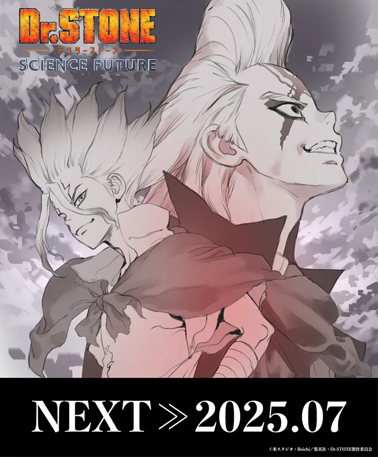 Promotional artwork for the anime series *Dr. Stone: Science Future*, featuring two main characters.  The focus is on a taller character with spiky, pale blonde hair styled in a high quiff, partially obscuring a face with dark markings resembling tribal paint under the right eye. This character is wearing a dark reddish-brown, loose-fitting robe-like garment with a lighter colored underlayer visible at the shoulders and chest.  They appear to be slightly turned to the right, with a confident expression.  Behind and partially obscured by this central character is a shorter individual with similarly pale, spiky blonde hair but shorter and less styled. This figure wears a darker, more subdued outfit and seems to be looking towards the viewer with a determined expression. The background is a muted grayscale wash suggestive of a stormy sky or a foggy landscape. The overall artistic style is a blend of manga and anime styles, with soft shading and linework.  The text 'Dr. STONE SCIENCE FUTURE' is prominent at the top and 'NEXT >> 2025.07' is displayed prominently at the bottom, indicating a release date.